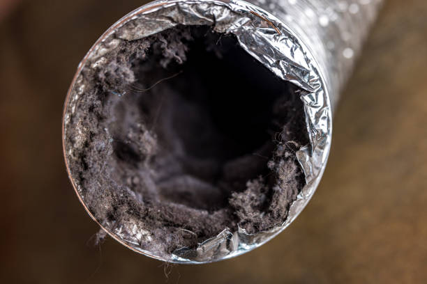 Best Duct Cleaning for Homes  in Lincoln, ID